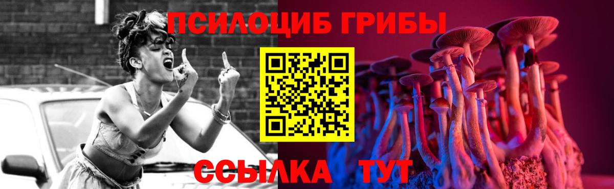 где купить наркоту  Вход с VPN  Сафоново  Галлюциногенные грибы Cubensis 